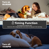 قلاده سگ LED با مواد انتقال دهنده نور از سطح مشبک باعث نمی شود حیوانات خانگی احساس خیره کننده ناراحت کننده ای داشته باشند، اما همچنین برای اطمینان از دید در شب و APP می تواند روشنایی را تنظیم کند.