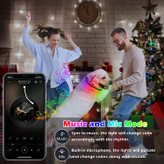 ما به یک کابل شارژ مجهز هستیم که با اتصال به درگاه USB می توان آن را بارها و بارها شارژ کرد. IP54 ضد آب برای جلوگیری از عبور سگ از آب ایستاده و پاشیدن به قلاده سگ.