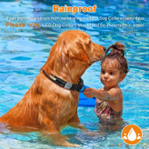 قلاده حیوان خانگی را می توان با اتصال بلوتوث با استفاده از APP کنترل کرد، که می تواند رنگ ها را در مسیر دویدن سگ تغییر دهد