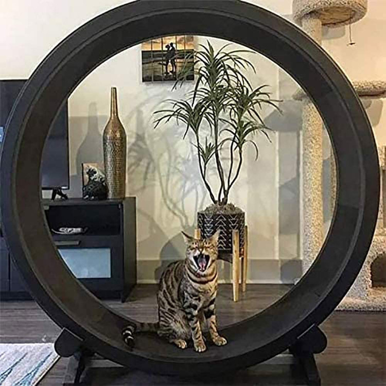 طراحی منحصر به فرد و خطوط منحنی آن را آسان تر می کند و هنگام تراشیدن راحت تر استراحت و سرگرمی می کند. به طور طبیعی گربه ها را جذب می کند. این مانند یک خانه گربه، تخت گربه و زمین بازی گربه است