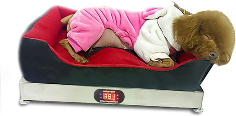 تخت خواب هوشمند حیوانات خانگی ( دمای ثابت هوشمند، گرمایش و سرمایش خودکار ) برند : NSZJWD کد : TH 900