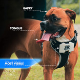 با Rogue K9 TrekLight ماجراجویی های روزانه خود را بالا ببرید و از بین 7 حالت ماجراجویی انتخاب کنید