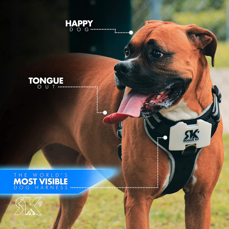 با Rogue K9 TrekLight ماجراجویی های روزانه خود را بالا ببرید و از بین 7 حالت ماجراجویی انتخاب کنید