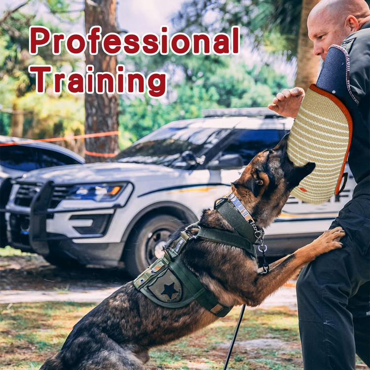 آستین نیش سگ از یک لایه بیرونی جوت بادوام و یک لایه داخلی فوم ضخیم ساخته شده است که برای محافظت از بازوی مربی در برابر گاز گرفتن کافی است.