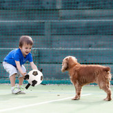 بند نایلونی بلندتر برای حمل و پرتاب طراحی شده است که می تواند انرژی اضافی سگ شما را آزاد کند و رفتار شیطانی را کاهش دهد. به لطف شش کراوات مشکی، او به راحتی می تواند آن را بگیرد و بدود