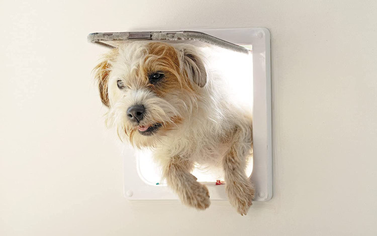 این فلپ گربه بزرگ دارای نوارهای قلم مو در لبه های در است تا به کاهش صدای ایجاد شده توسط حیوانات خانگی هنگام ورود یا خروج از در کمک کند