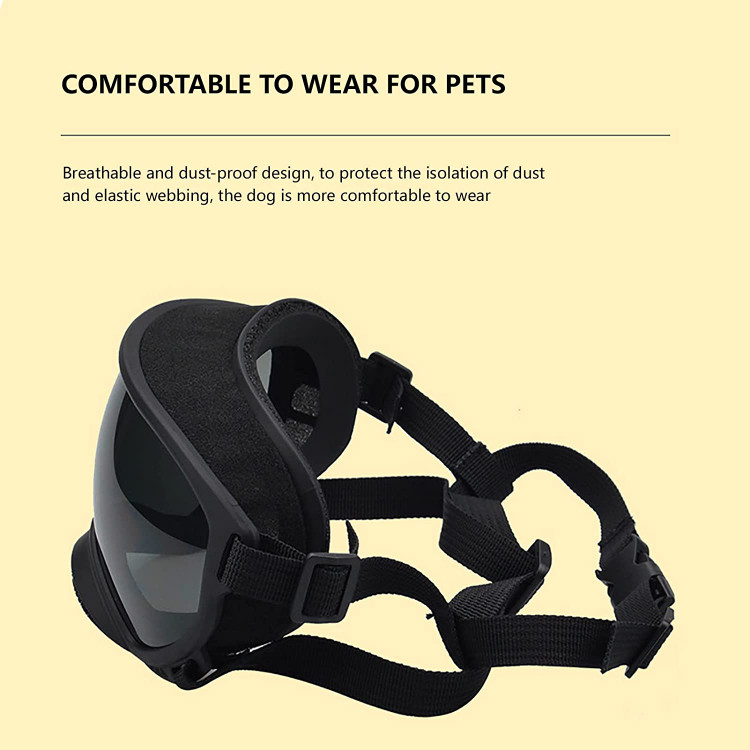 عینک سگ ما می تواند دید بهتری برای سگ شما فراهم کند. مهمتر از آن، قاب های نوری نرم آسیبی به صورت سگ شما و پوست چشم سگ شما وارد نمی کند