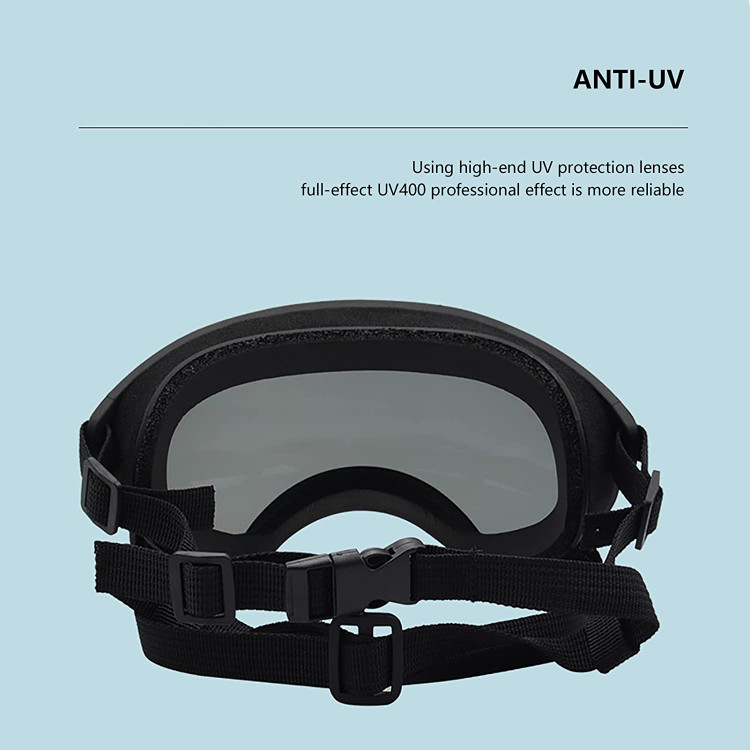 از چشمان حیوانات خانگی خود در برابر برف، UV، باد، گرد و غبار و مه محافظت کنید.