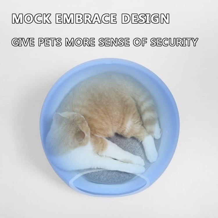 راه اندازی هوشمند Cat Condo، نظارت بر چند صحنه با توجه به شرایط مختلف تنظیم می شود و دستورات اجرا می شوند.