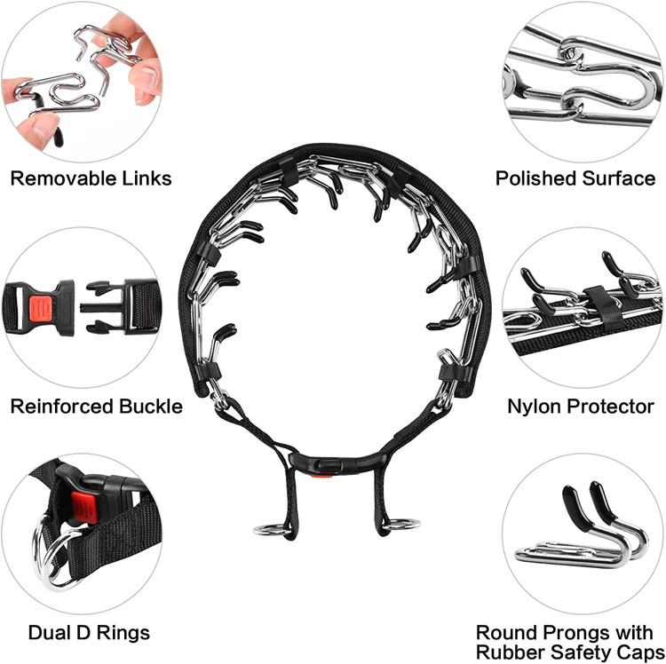 توله هایش را با استفاده از دندان هایش اصلاح می کند و در عین حال می تواند اطمینان حاصل کند که حیوان خانگی شما در حین راه رفتن به میزان قابل توجهی کمتر می کشد.