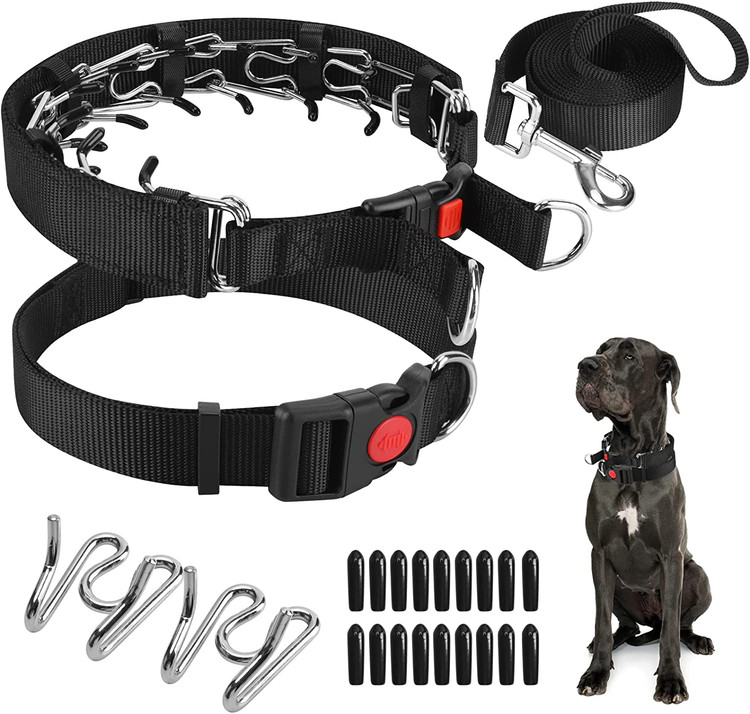 قلاده شاخک آموزش سگ ( قلاده پینچ ) برند: Generic کد : GP 700