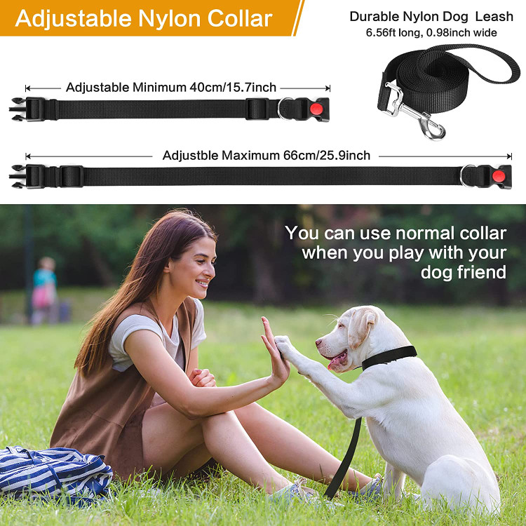 قلاده زنجیری ما با 1 یقه معمولی و 1 بند سگ ارائه می شود که برای اولویت بندی نیازهای شما طراحی شده است.