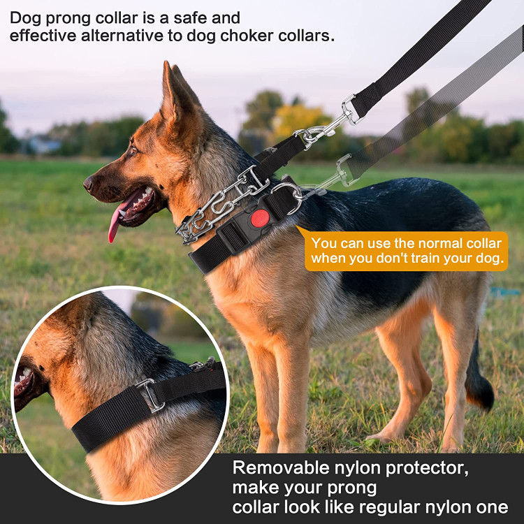 هنگامی که سگ شما آداب بندکشی مناسب را یاد گرفت یا دیگر نکشید و به تکنیک های خوب راه رفتن مسلط شد، می توانید هنگام بازی با دوست سگ خود از قلاده معمولی استفاده کنید.