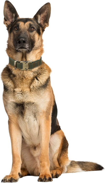 این قلاده های چرمی برای سگ های بالغ و همچنین توله سگ ها راحت، انعطاف پذیر، سبک و ظریف هستند