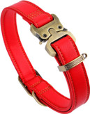 قلاده خودش کشیده نمی شود، لطفا          مطمئن شوید که فقط 2 انگشت بین قلاده و گردن سگ: قلاده و مهار مناسب جایی برای جویدن سگ شما باقی نمی گذارد.