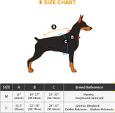 لطفا قبل از سفارش سگ خود را دقیقا اندازه بگیرید
