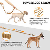 این بند سگ بانجی خاصیت ارتجاعی خوبی دارد که می تواند نیروی کشش سگ را کاهش دهد و ارتعاشات را جذب کند که می تواند به طور موثر از آسیب "ترکیدن" سگ جلوگیری کند.