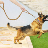 دسته بالایی را می توان برای پیاده روی روزانه، دویدن و غیره استفاده کرد. دسته پایینی حاوی یک اسفنج است که می تواند به طور موثر سگ را در موقعیت های ناگهانی کنترل کند و آسیب دیدن آن آسان نیست