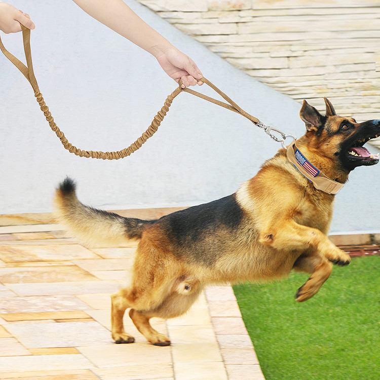 دسته بالایی را می توان برای پیاده روی روزانه، دویدن و غیره استفاده کرد. دسته پایینی حاوی یک اسفنج است که می تواند به طور موثر سگ را در موقعیت های ناگهانی کنترل کند و آسیب دیدن آن آسان نیست