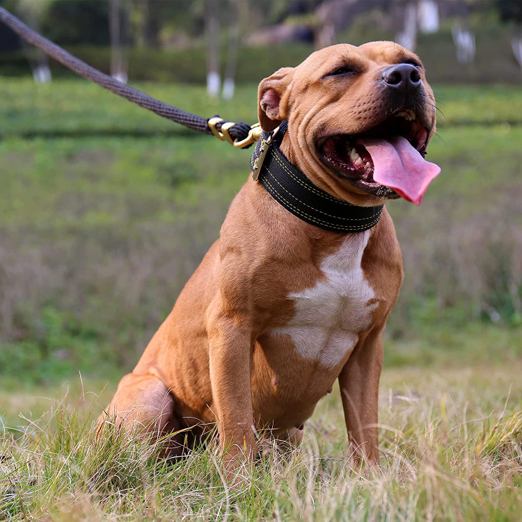 قلاده ضخیم پارچه نایلونی چهار لایه بسیار محکم و راحت است و اصطکاک قلاده را روی پوست سگ کاهش می دهد