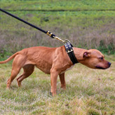 دو ردیف سوراخ های ثابت می تواند اطمینان حاصل کند که قلاده سقوط نمی کند یا آسیب نمی بیند. بسیار مناسب برای آموزش.