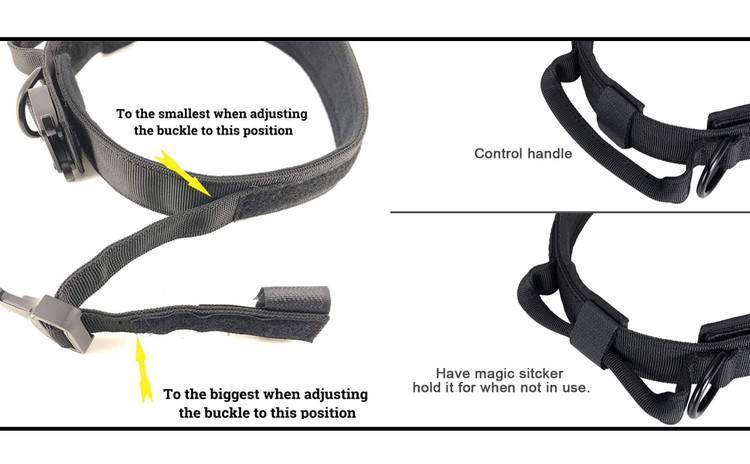 قسمت میانی برای بند سگ الاستیک با بانجی طراحی شده است، بانجی را می توان تا 9.84 اینچ افزایش داد و ضربه را جذب می کند. طول حدود 100-140 سانتی متر است.