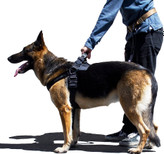 پد سینه EVA و پد گردن EVA برای راحتی و محافظت