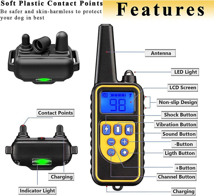 شما می توانید سگ خود را در ساحل و کنار دریا آموزش دهید، اما لطفا آن را برای مدت طولانی در آب قرار ندهید.