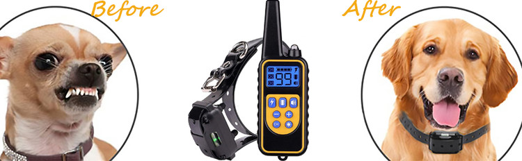 قلاده آموزش شاخک سگ Havenfly، جداشدنی و قابل تنظیم، چوک پینچ داگ استیل ضد زنگ...