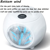 جعبه خشک کن حیوانات خانگی ما به حیوانات خانگی کمک می کند موهای خود را با سشوار خشک کنند، دستان شما را آزاد کند و در وقت شما صرفه جویی کند