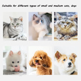 خشک کن پت دارای تراشه دمای ثابت میکروکامپیوتر هوشمند داخلی و سیستم کنترل زمان است که می تواند به طور انعطاف پذیر دما و زمان را کنترل کند