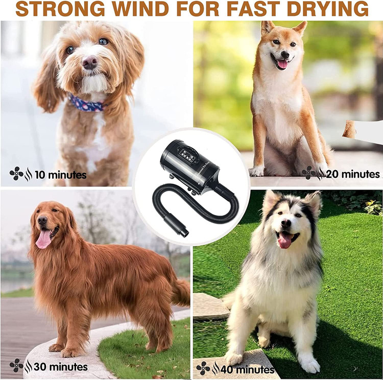 فیلتر داخلی به طور خودکار گرد و غبار و موهای حیوانات خانگی را جذب می کند.