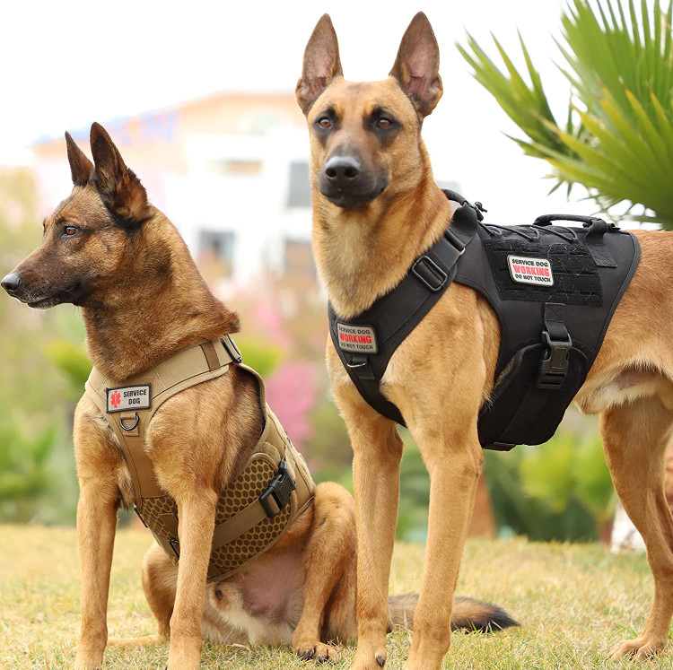 مهار سگ Lzdrason برای سگ های بزرگ، بنابراین لطفاً بند جلیقه سگ را برای سگ های بزرگ و متوسط انتخاب کنید