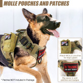 یک گیره فلزی جامد جلویی برای هیچ هدفی طراحی شده است