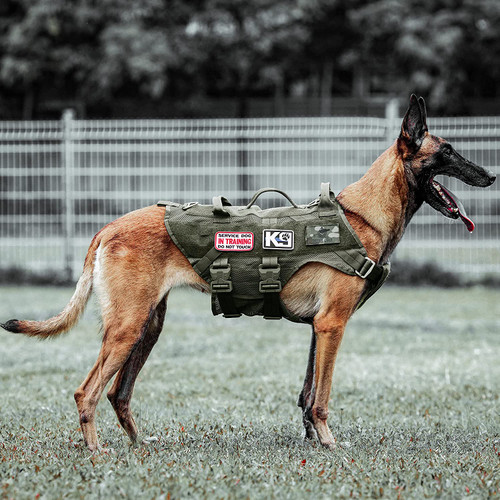 مهار سگ تاکتیکی بدون کشش برای سگهای بزرگ K9 برند : PETAC GEAR کد : G 360