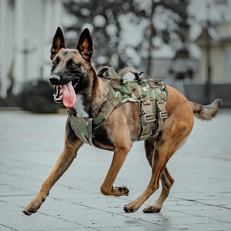 مهار سگ تاکتیکی بدون کشش برای سگهای بزرگ K9.