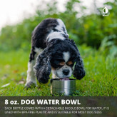 بطری آب سگ ما با یک کیف حمل سفارشی طراحی شده با در نظر گرفتن واکر سگ ارائه می شود. مواد بادوام و بند شانه ای این بطری را به وسیله ای عالی برای پیاده روی سگ تبدیل کرده است.