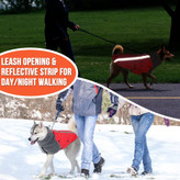 کت سگ با بندهای پا الاستیک که در اطراف پاهای پشتی حیوان خانگی شما نصب میشود تا کت در روزهای بادی بالا نرود و در عین حال بیشترین تحرک را حفظ کند.