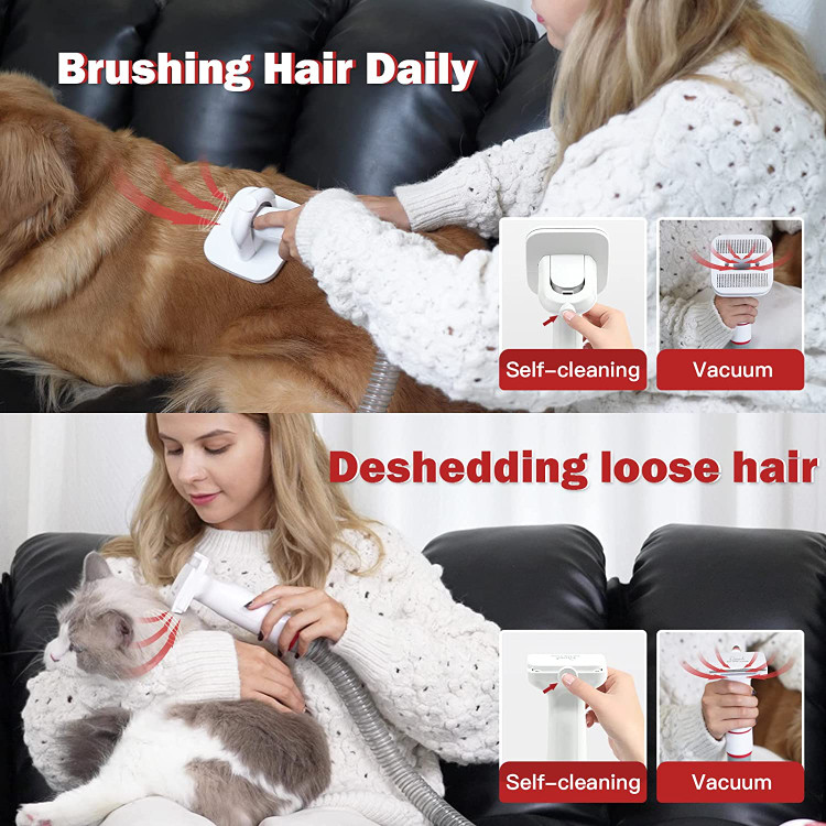 سایر ابزارهای نظافت می توانند حیوان خانگی دوست داشتنی را تمیز و سالم نگه دارند