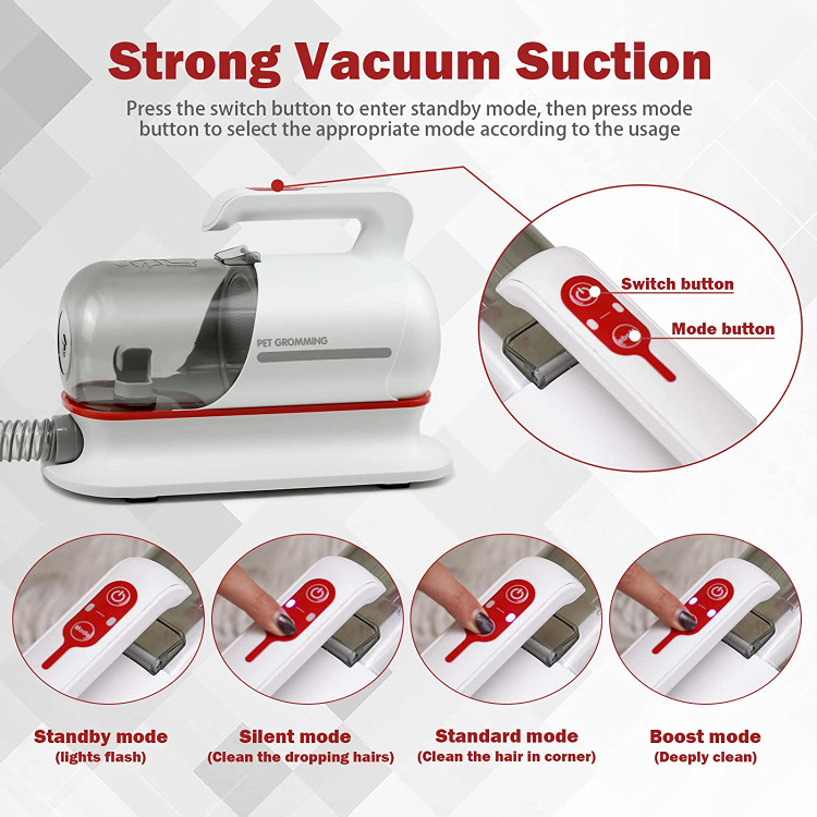 وقتی یک کودک در روز تولدش یک حیوان خانگی به عنوان هدیه می گیرد، آنها بهترین دوستان شدند