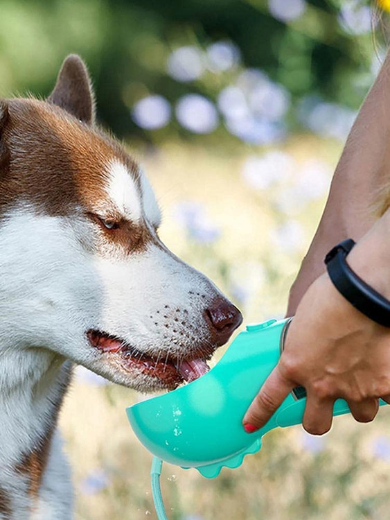 بطری پلاستیکی ساخته شده با درجه غذایی برای سگ های شما هنگام استفاده از بطری آب پخش کننده سگ ایمن است، حمل آن بادوام و قابل حمل است، همچنین جدا کردن و تمیز کردن آن آسان است.