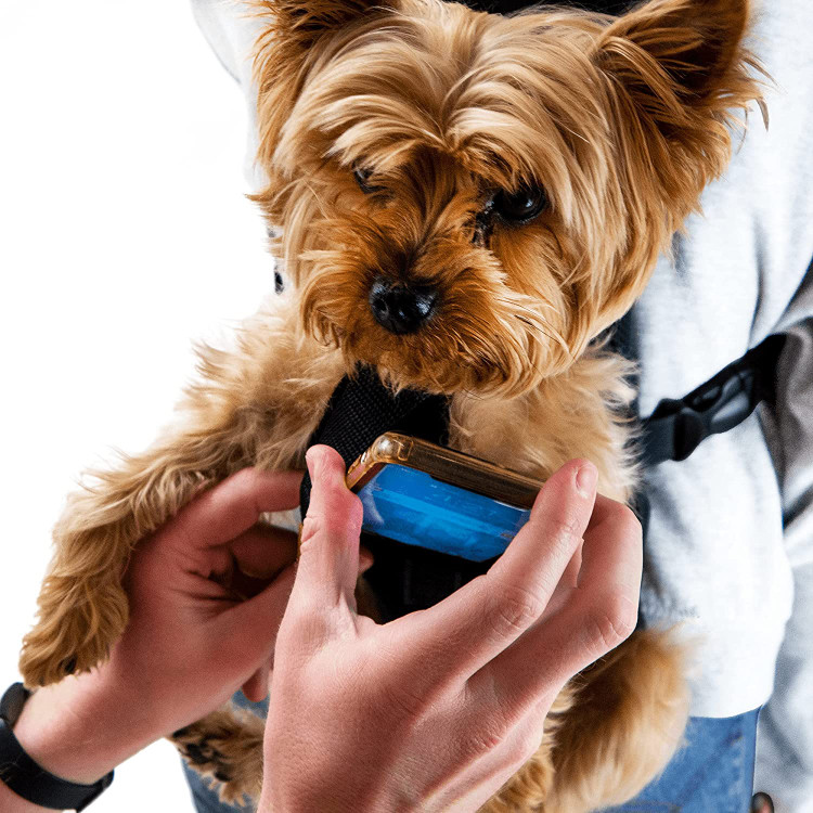 ورود و خروج حیوانات خانگی گیر نمیکند