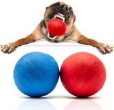 توپ لاستیکی قوی برای سگ ( اسباب بازی نابود نشدنی سگ ) برند: Petopedia  کد : AB 680