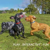 غذایی که سگ دوست دارد را می توان در بدن قرار داد تا غذا نشت کند. این به تمیز کردن دندان های سگ کمک می کند تا نفس را تازه کند، لثه ها را تحریک کند و تشکیل جرم و پلاک را در حین بازی و جویدن سگ کاهش دهد.