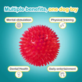 اسباب بازی جویدنی تعاملی اسباب بازی مناسب برای توله های فعال است