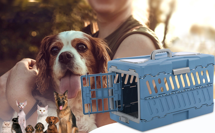 قفس سفت و سخت توله سگ با یک ورودی بزرگ و یک ورودی کوچک در دو طرف قفس قابل حمل گربه ورود و خروج را تسهیل می کند