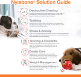 سگ های تنها ممکن است چیزهایی را به عنوان وسیله ای برای تسکین خود بجوند