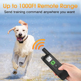 ریموت و گیرنده قلاده آموزش سگ ما قابل شارژ است، استفاده از آن راحت تر است. قلاده شوک سگ برای سگ های کوچک عمر باتری طولانی دارد، برای یک بار شارژ فقط 2.5 ساعت طول می کشد