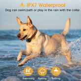 کنترل از راه دور برای این قلاده آموزش سگ می تواند تا 1300 فوت برسد، که باعث می شود از زمان آموزش با سگ خود در حیاط خلوت، پارک، در ساحل یا هر جای دیگری لذت ببرید