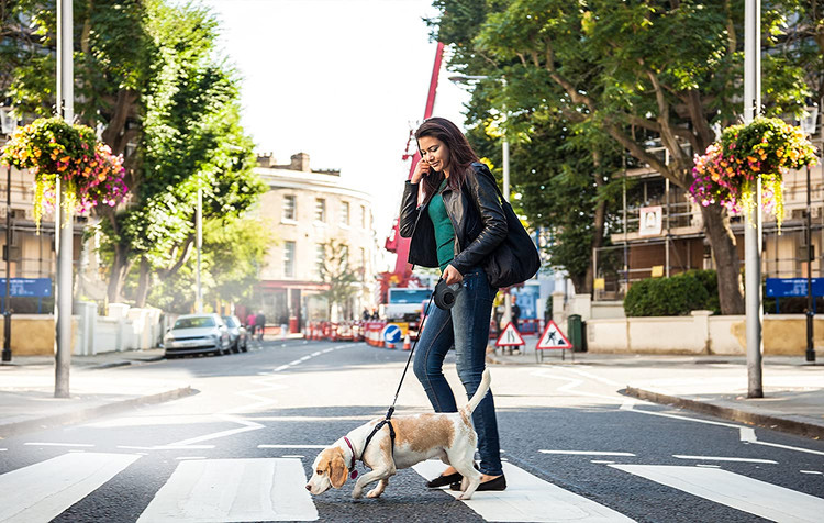 تنها با چرخش شماره گیری در یک ثانیه تنظیم می شود. با هر قلاده یا بند کار می کند.